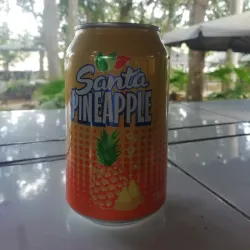 Refresco Piña 