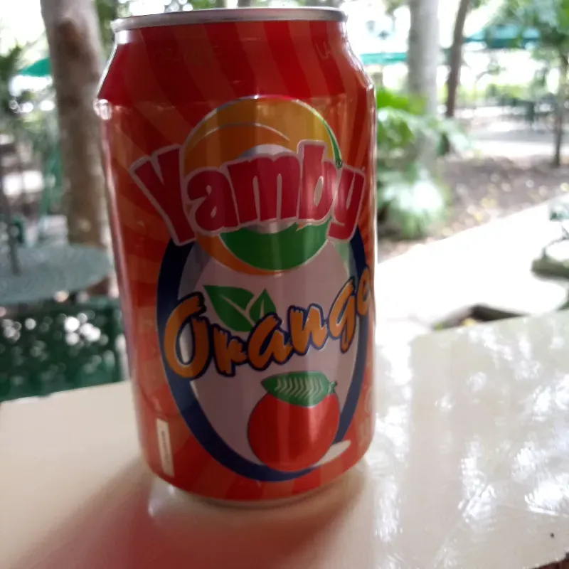 Refresco de Naranja