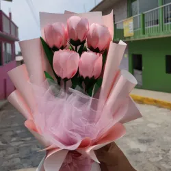 Ramo de 5 tulipanes 