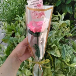 Rosa eterna