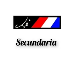 Distintivos escolares:secundaria