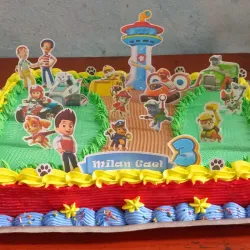 Paw Patrol 🎂