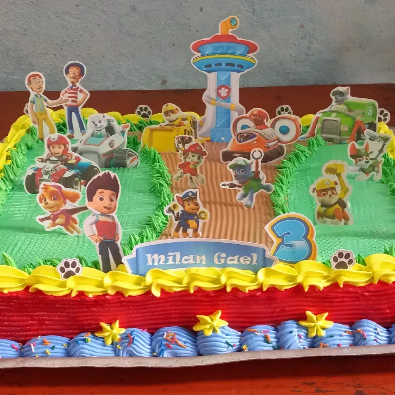 Paw Patrol 🎂