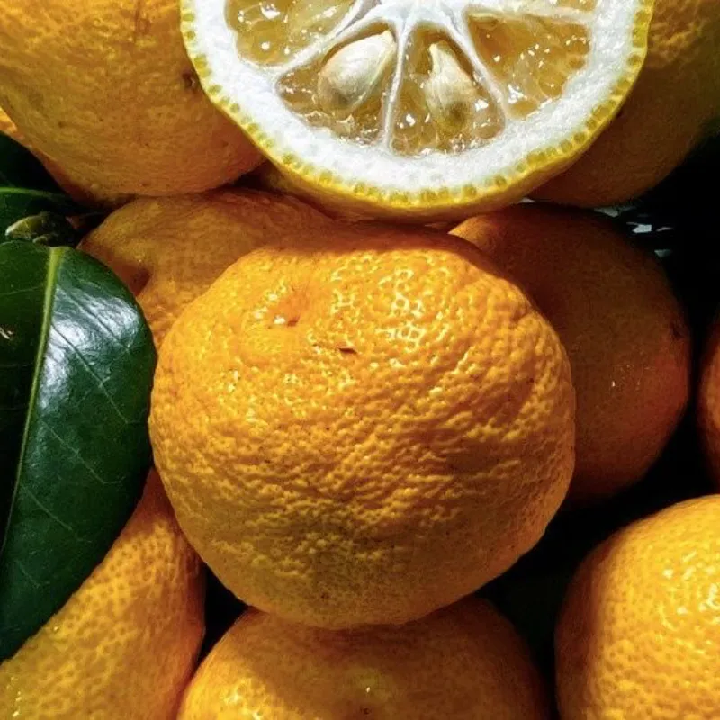 🍊 Citrus Yuja Foam Cleansing – Limpieza Iluminadora