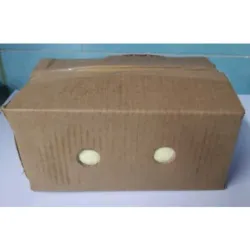 Caja de helado 