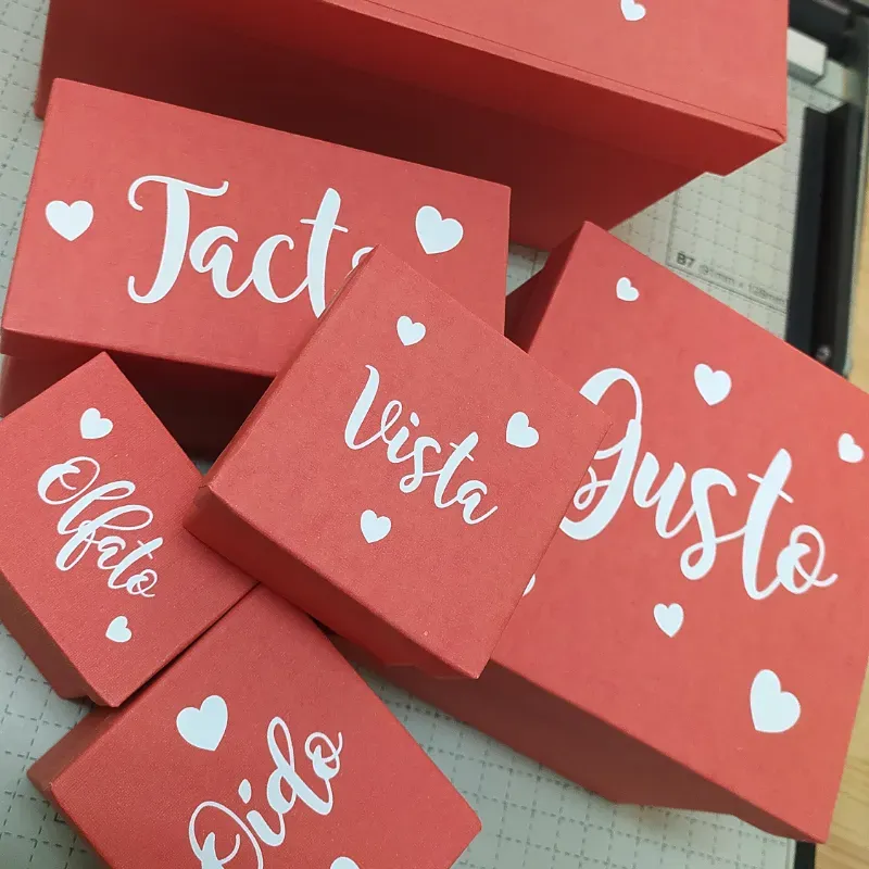 Cajas de los sentidos 