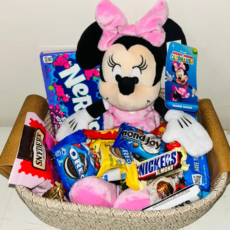 CESTA MINNIE!!