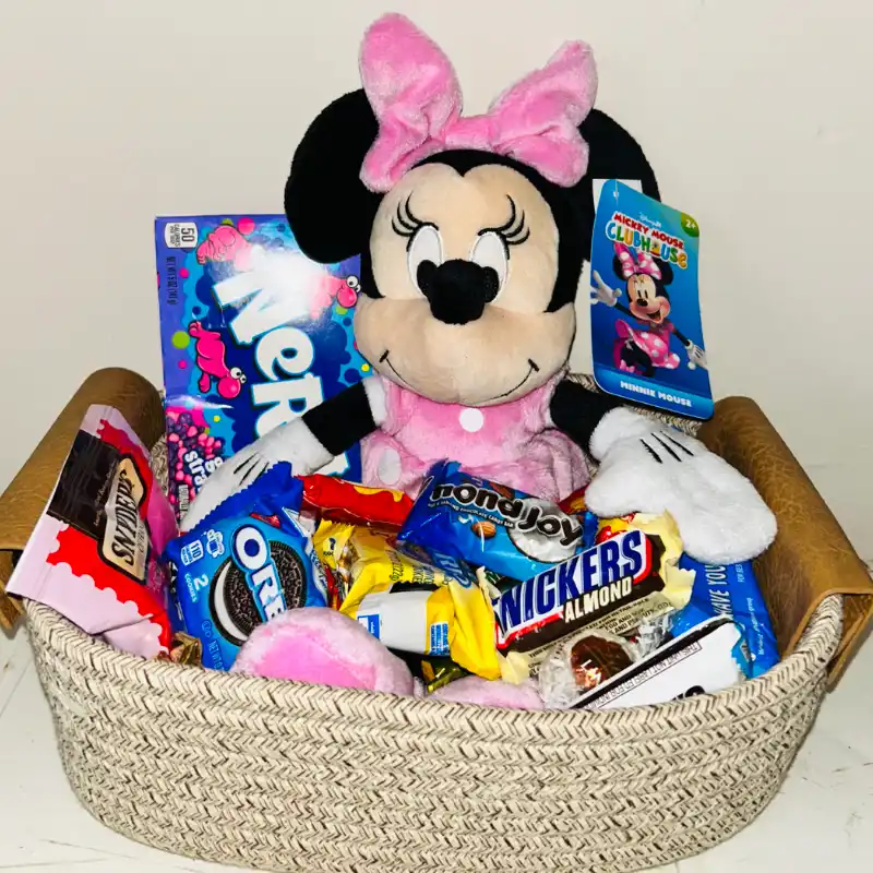 CESTA MINNIE!!