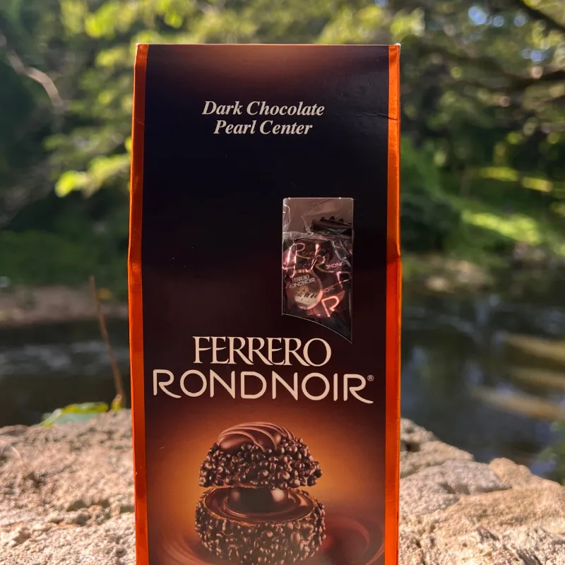 ESTUCHE DE FERRERO ROCHER!!