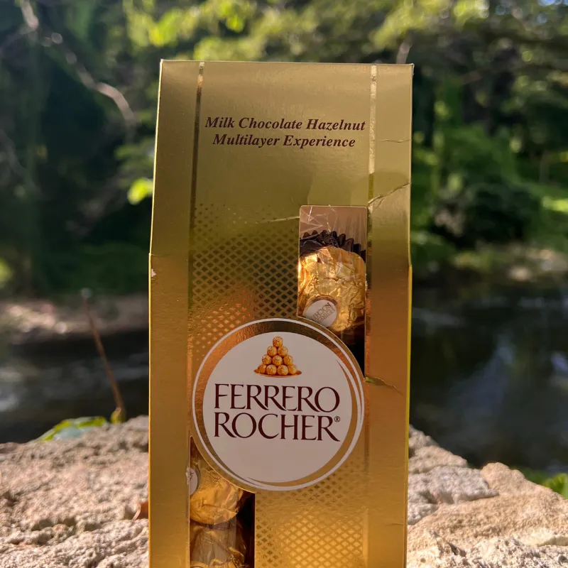 ESTUCHE DE FERRERO ROCHER!!