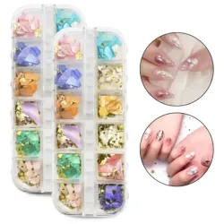 Concha nácar surtida