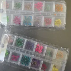 Naturaleza muerta mini caja de 12 espacios 