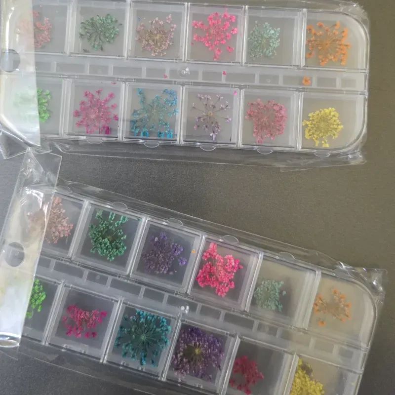 Naturaleza muerta mini caja de 12 espacios 