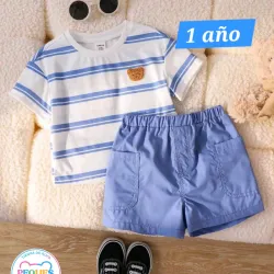 1 año