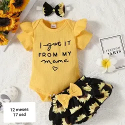 Conjunto de girasoles