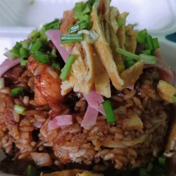 Arroz Frito Especial