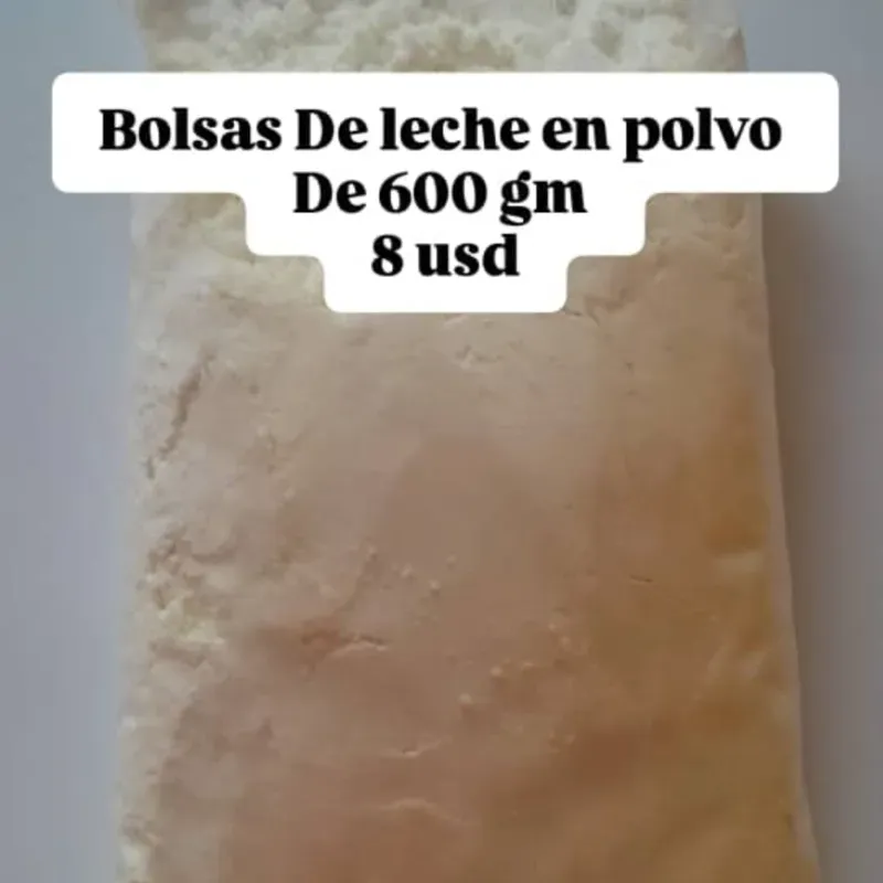 Leche en Polvo de 600 gm 