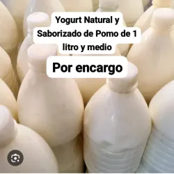 Yogurt Natural 