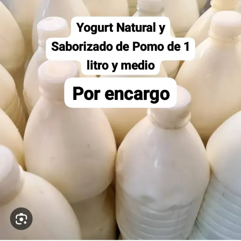 Yogurt Natural 