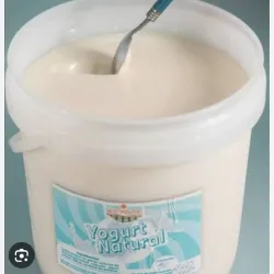 Yogurt Probiótico en Pomo 1 lt 