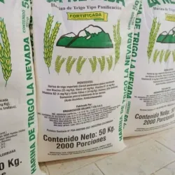 Harina nevada / 25 kg