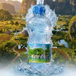 Agua de 300ml