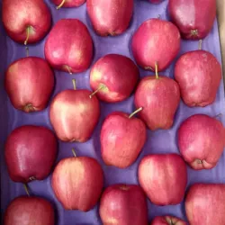 Manzanas