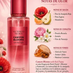 Colonia Canyon Blooms