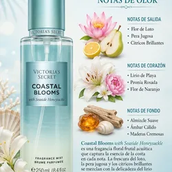 Colonia Coastal Blooms