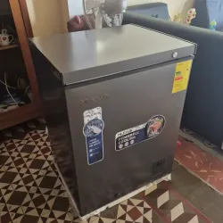 perro viejo