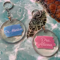 Llavero encapsulado 5