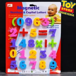 Magnéticos didácticos