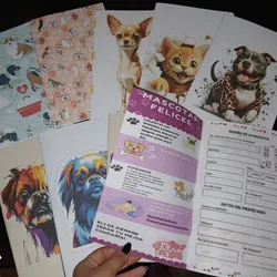 Historias Clínicas personalizadas para mascotas🐶😸