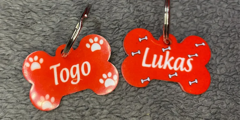 Placas para perros 🐶