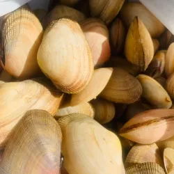Almejas 3lb 