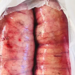 Hueva de emperador 4.40lb