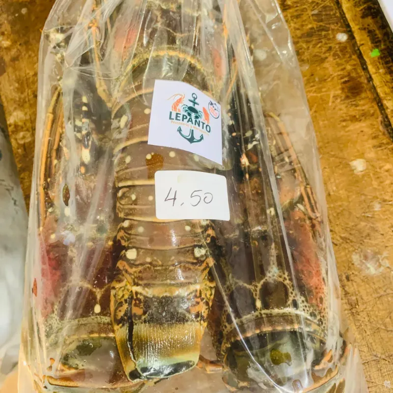 Langosta entera 1.50lb