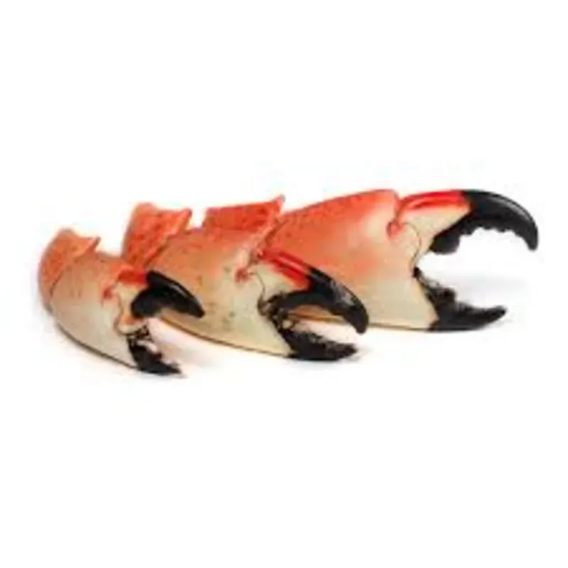 Muela de cangrejo moro 3lb