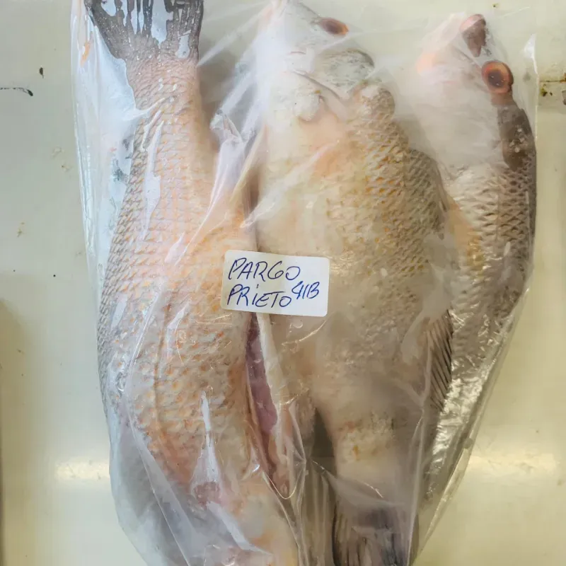Pargo prieto 3lb 