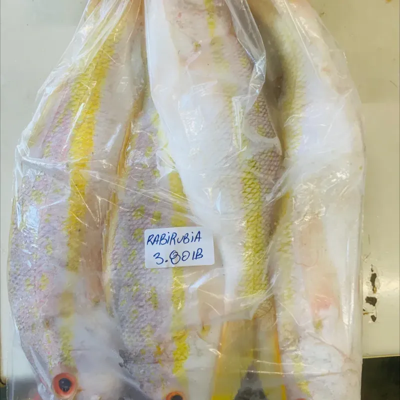 Rabirubia y viajaiba 3lb