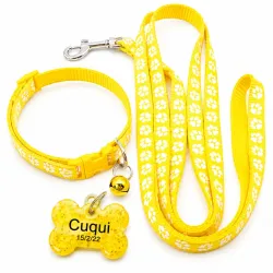 Collar con correa más chapilla color amarillo