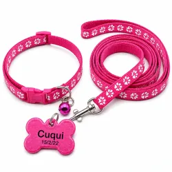 Collar con correa más chapilla rosado oscuro