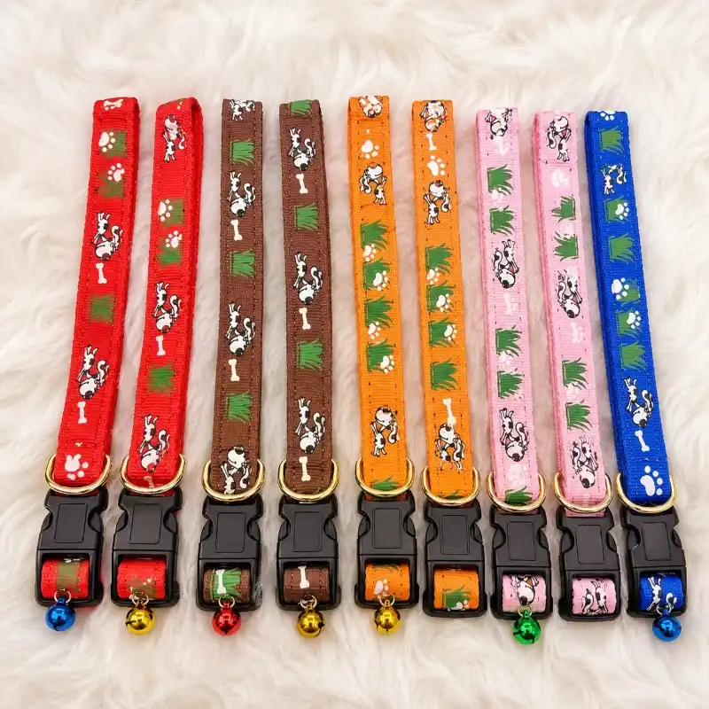 Collar para mascota mediana más chapilla identificatoria personalizada