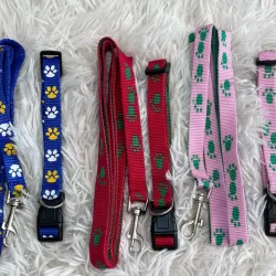 Collar con correa pequeños