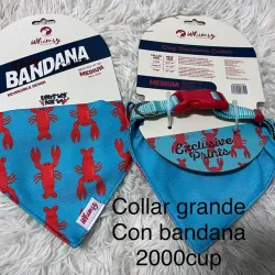 Collar grande con bandana