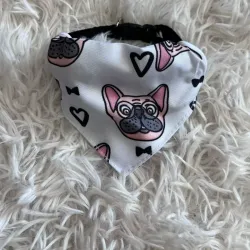 Collar pequeño con bandana