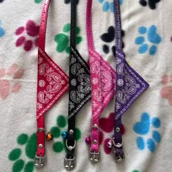 Collar pequeños con bandana