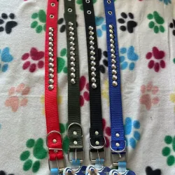 Collares grandes