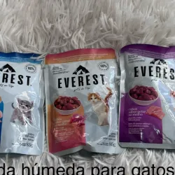 Comida húmeda