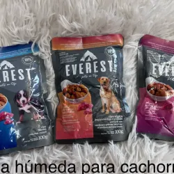 Comida húmeda